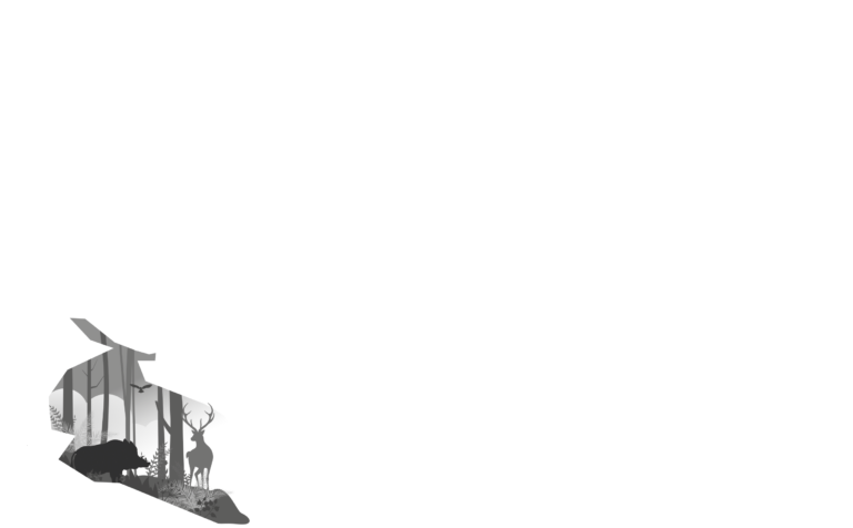 Logo wildkamer transparant
