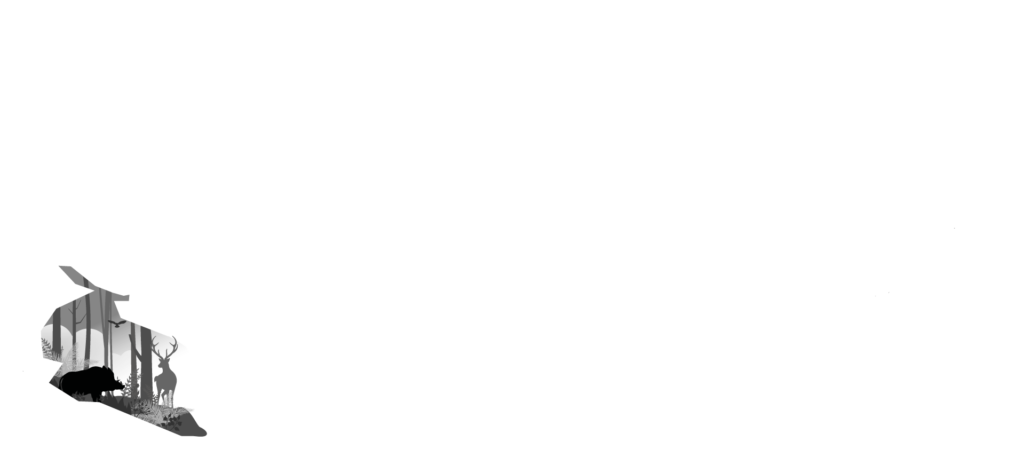 Logo Tierformen kopwit transparant header DEF